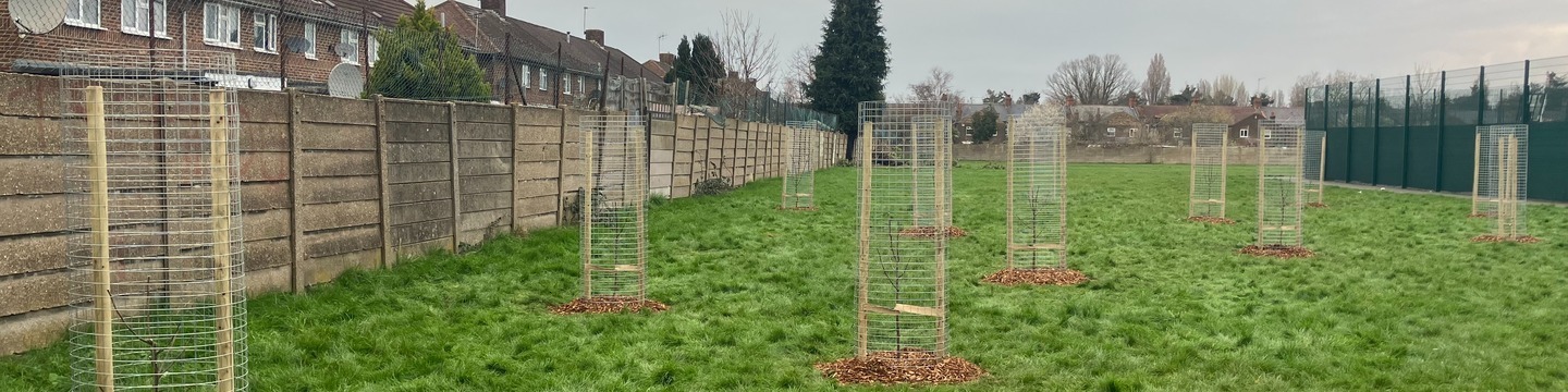 Community Orchard at Longstone Avenue
